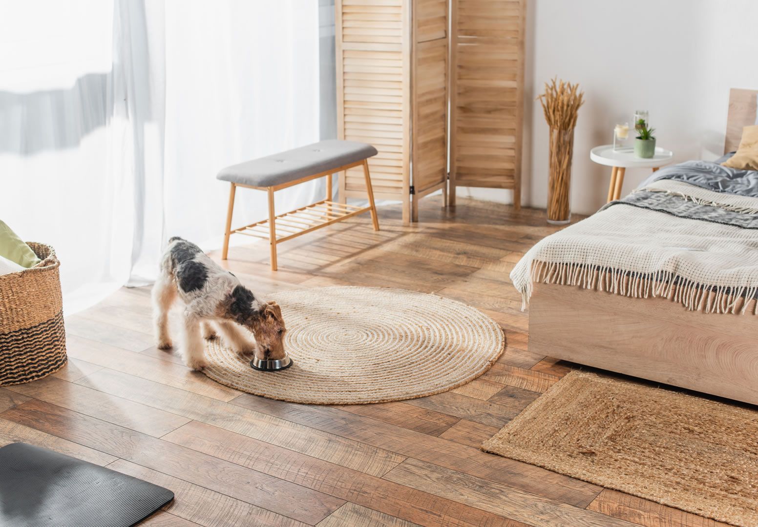 Dove posizionare i tappeti: alcuni consigli